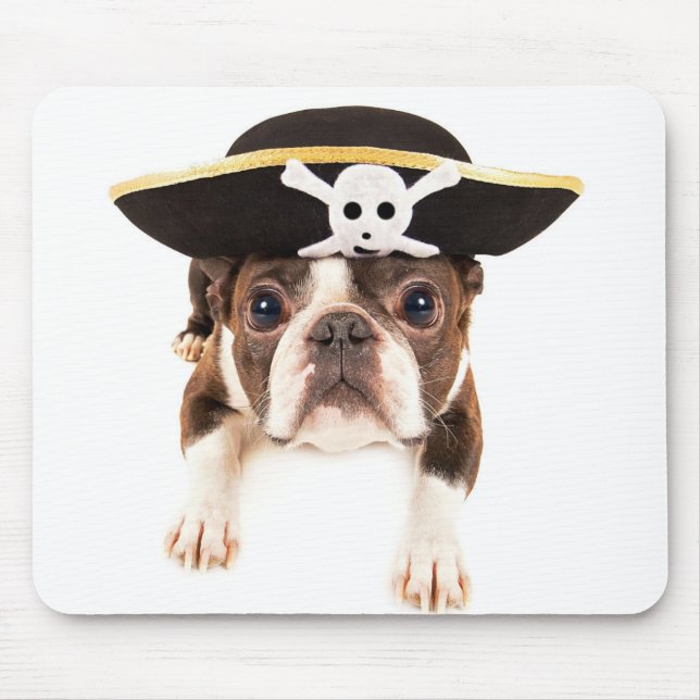Boston Terrier Hund, nedtryckt som Pirat Musmatta (Framsidan)