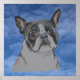 Boston Terrier Hund Poster