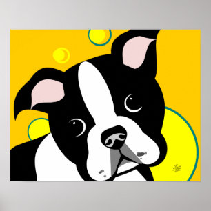 Boston Terrier Hund Poster
