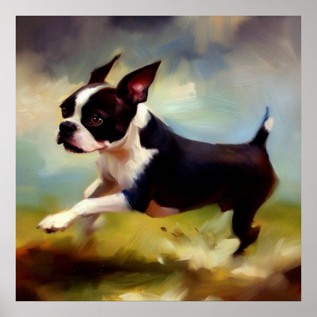 Boston Terrier Hund Poster (Framsidan)