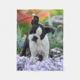 Boston Terrier Hund Puppy koma Fleecefilt