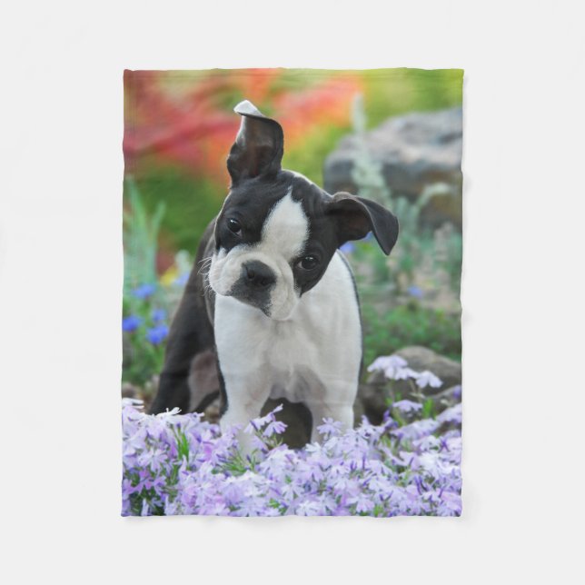 Boston Terrier Hund Puppy koma Fleecefilt (Framsidan)