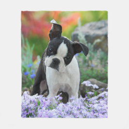 Boston Terrier Hund Puppy mysiga Fleecefilt