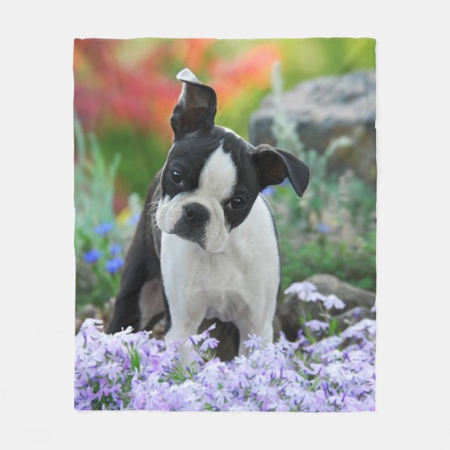 Boston Terrier Hund Puppy mysiga Fleecefilt (Framsidan)
