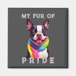 Boston Terrier Hund Rainbow Funny My Päls Pride Magnet