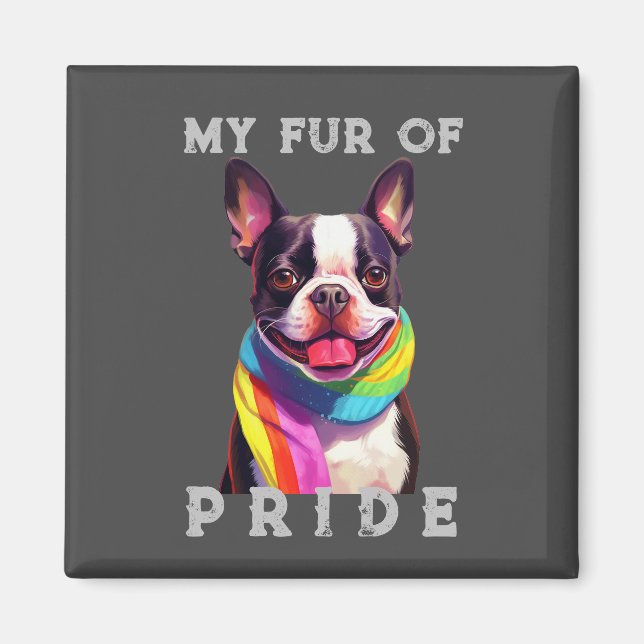 Boston Terrier Hund Rainbow Funny My Päls Pride Magnet (Framsidan)