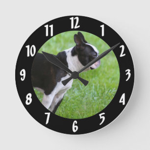 Boston Terrier hund Rund Klocka