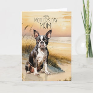 Boston Terrier Hund Solnedgång Strand Mors dag Helgkort