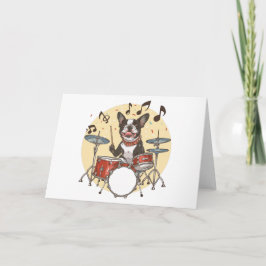Boston Terrier Hund spelar Drums Kort