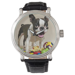 Boston Terrier Hund spelar med Leksak Armbandsur