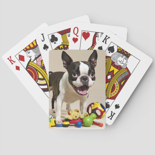 Boston Terrier Hund spelar med Leksak Casinokort (Baksidan)