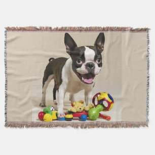 Boston Terrier Hund spelar med Leksak Filt