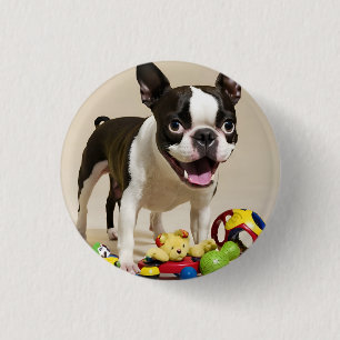 Boston Terrier Hund spelar med Leksak Knapp