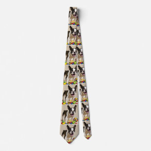 Boston Terrier Hund spelar med Leksak Slips