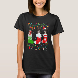 Boston Terrier Hund, tre julsocklar, sventil X T Shirt