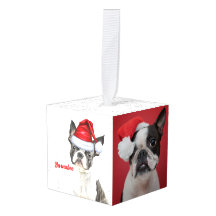 Boston Terrier Hund Two Photo jul Helgdag