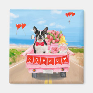 Boston Terrier Hund Valentine Day Lastbil Hearts Magnet