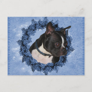 Boston Terrier Hund Vykort