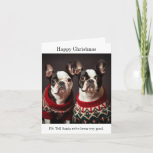 Boston Terrier Hundar i julsötare Kort
