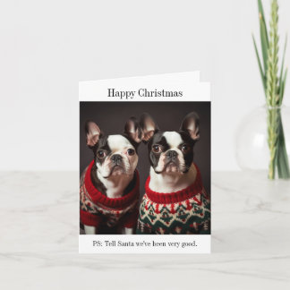 Boston Terrier Hundar i julsötare Kort