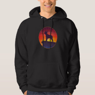 Boston Terrier Hundras 23 Hoodie