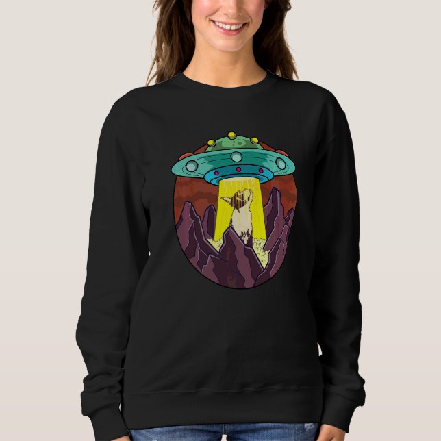 Boston Terrier Hundras  73 T Shirt (Framsida)