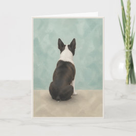 Boston Terrier Husdjur Sympati Kort