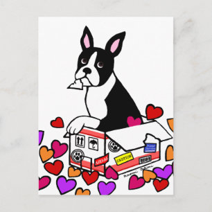 Boston Terrier i Box-Tecknaden Vykort