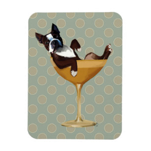 Boston Terrier i Cocktail Glass Magnet