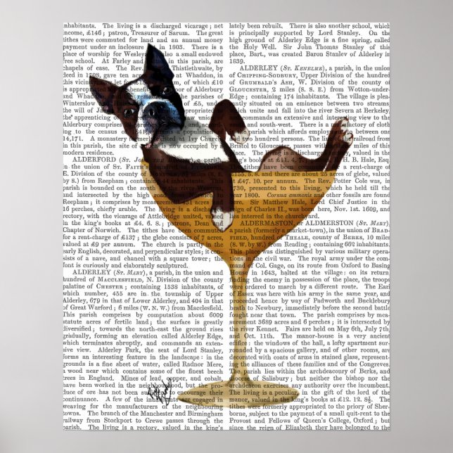 Boston Terrier i Cocktail Glass Poster (Framsidan)