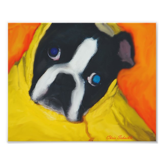 Boston Terrier i en gult jackar Fototryck (Framsidan)