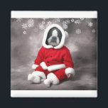 BOSTON TERRIER I JULAFTON UTFIT MAGNET<br><div class="desc">JA,  DET HÄR ÄR EN BOSTON TERRIER ... ..I EN CHRISTMAS KOSTYM... . ALLA UPPSKATTADE... . OM DU VILL STÄNGA PERFEKTEN FÖR FRIDGE ELLER LÅSAREN VID JULAFTON-TIDEN</div>