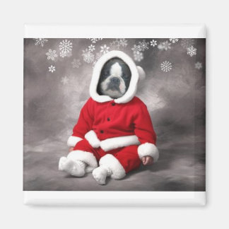 BOSTON TERRIER I JULAFTON UTFIT MAGNET