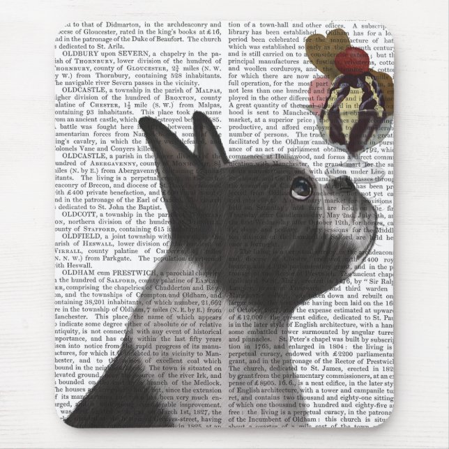 Boston Terrier Ice Cream Musmatta (Framsidan)