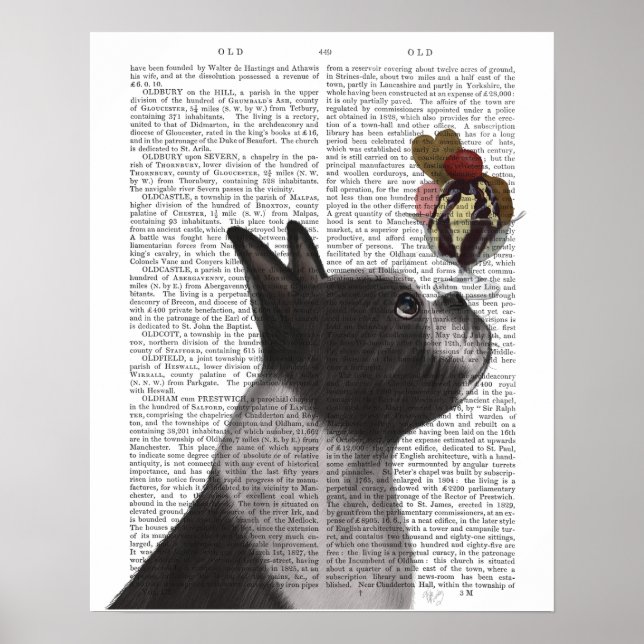 Boston Terrier Ice Cream Poster (Framsidan)