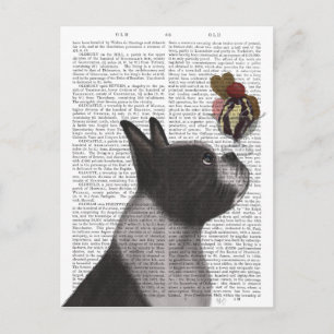 Boston Terrier Ice Cream Vykort