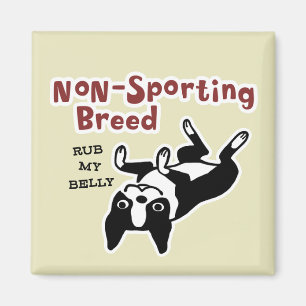 Boston Terrier "Icke-sportande ras" Magnet
