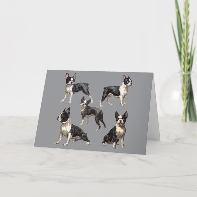 Boston Terrier-illustration Kort (Framsida)