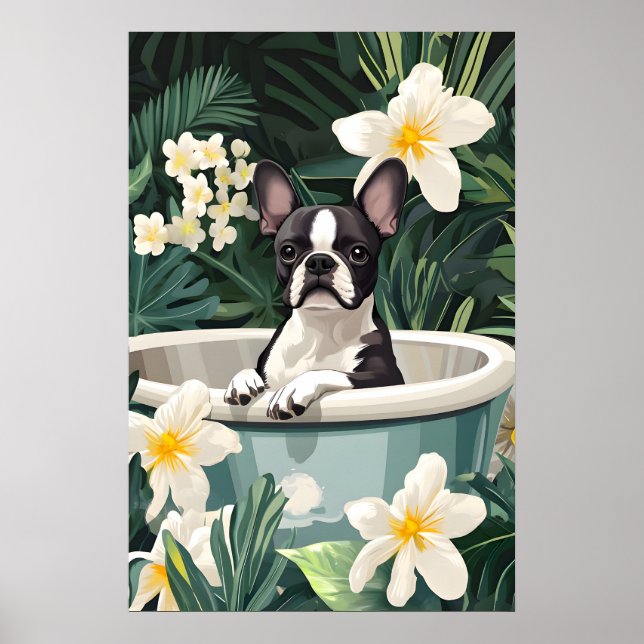 Boston Terrier In Bathtub Poster, Funny Dog Poster (Framsidan)