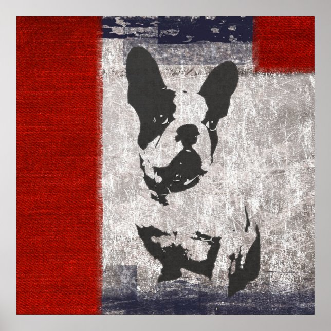 Boston Terrier in Black and White With Red Gräns Poster (Framsidan)