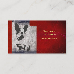 Boston Terrier in Black and White With Red Gräns Visitkort
