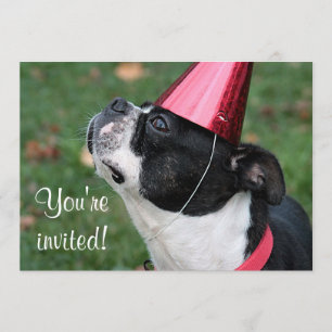 Boston Terrier Inbjudningar
