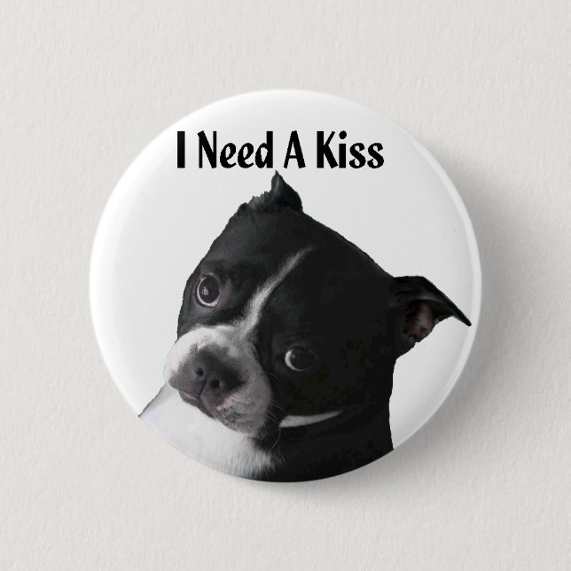 Boston Terrier:  Jag behöver en kyss Knapp (Framsida)