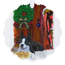Boston Terrier jul