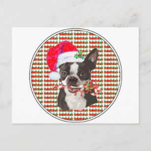 Boston Terrier jul Helg Vykort