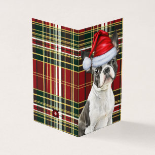 Boston Terrier Jul Hund Helgdag Play Kort