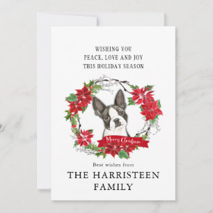 Boston Terrier jul Poinsettia Wandetia Julkort