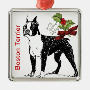 Boston Terrier julgranskula