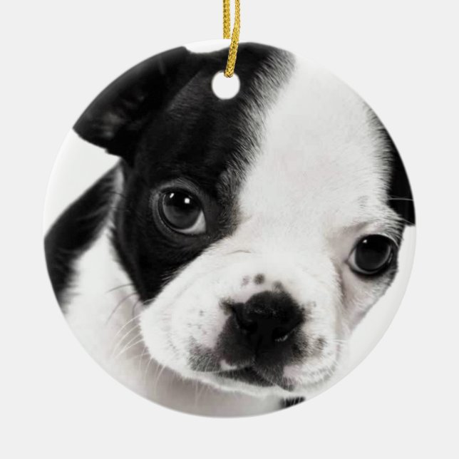 Boston Terrier Julgransprydnad Keramik (Framsidan)
