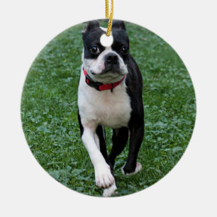 Boston terrier julgransprydnad keramik
